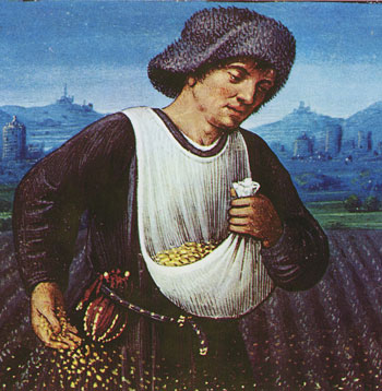 Le semeur