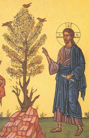 Jésus maudit le figuier