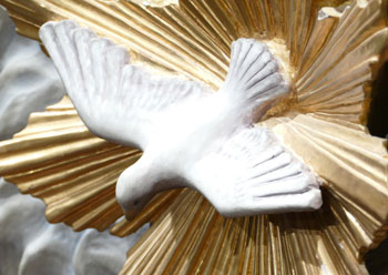 La Colombe du Saint-Esprit